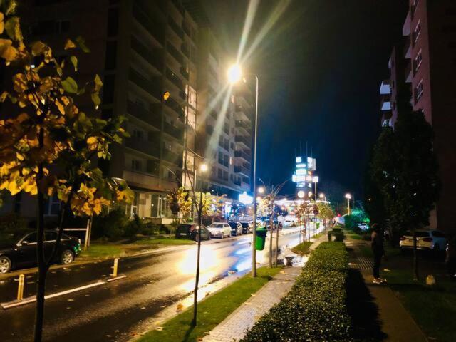 Joy Stefan Baciu 10